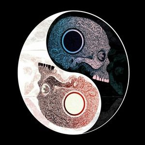 Meet your Posher, Felicity